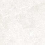 Arlo - Image 2
