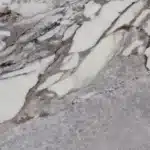 Unico