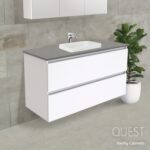 Quest-Fienza