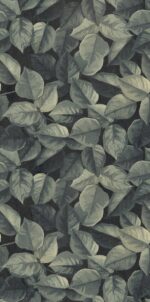 Foliage - Image 2