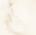 Duroglaze Ceramic