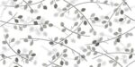 Folio-Birch - Image 4
