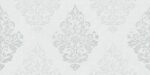 Folio- Shanelle - Image 4