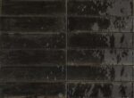 Bossanova - Image 5