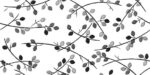 Folio-Young Birch - Image 5