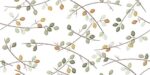 Folio-Young Birch - Image 3