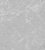Petra Mix - Image 4